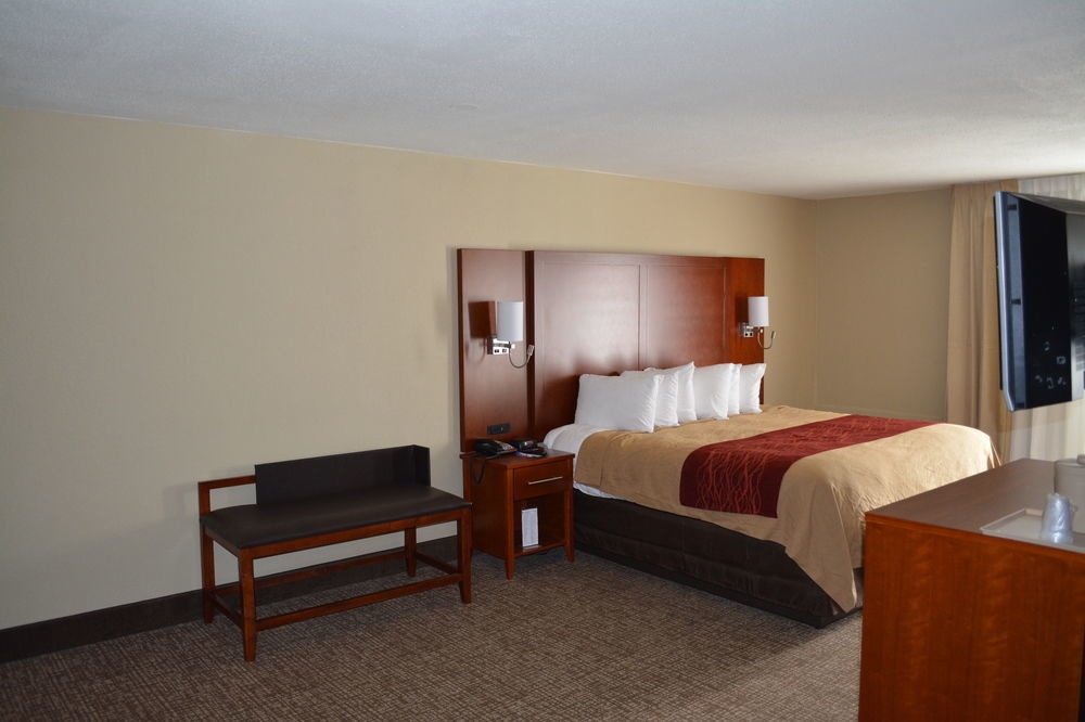 Comfort Inn Savannah Bagian luar foto