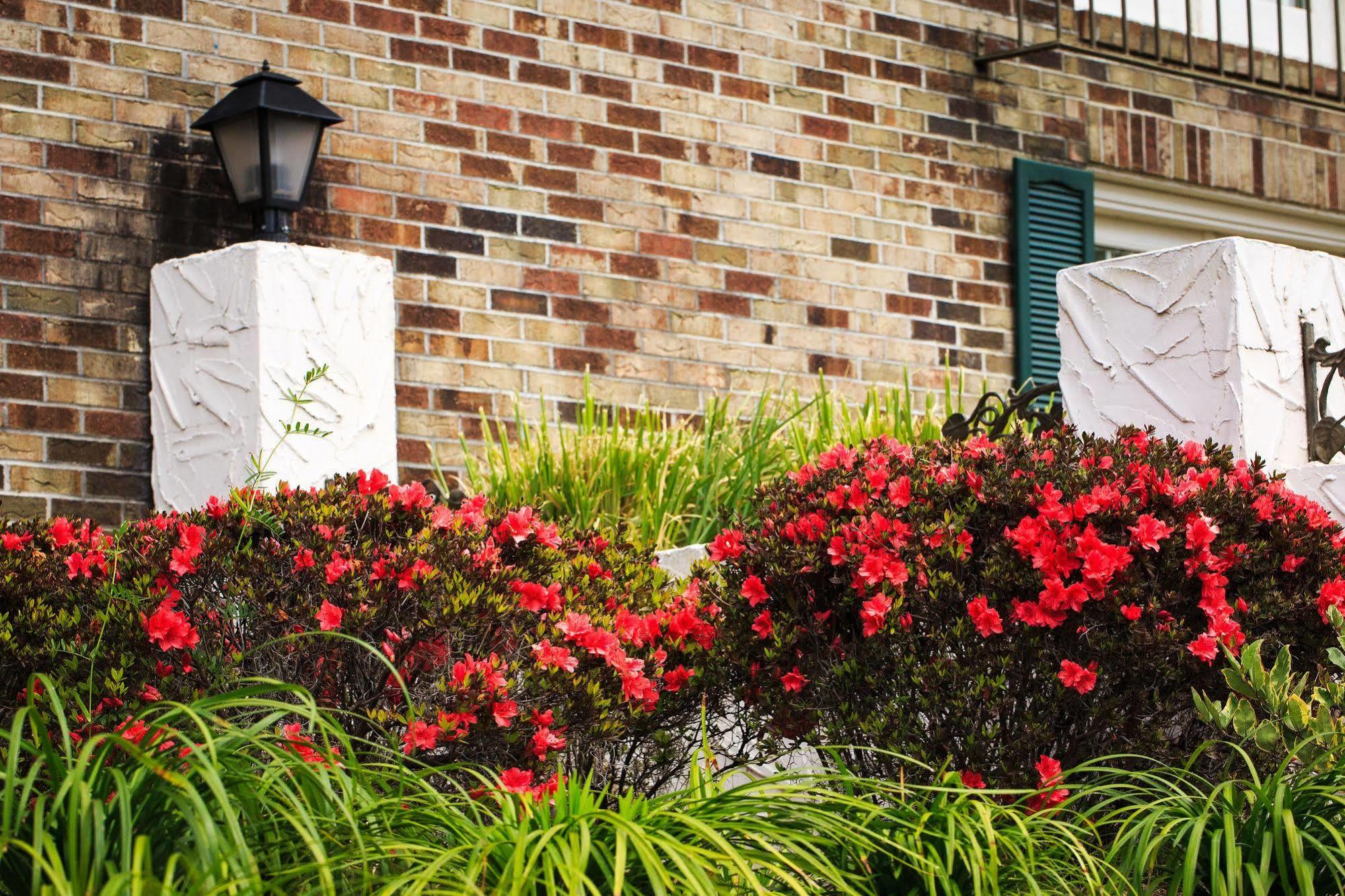 Comfort Inn Savannah Bagian luar foto